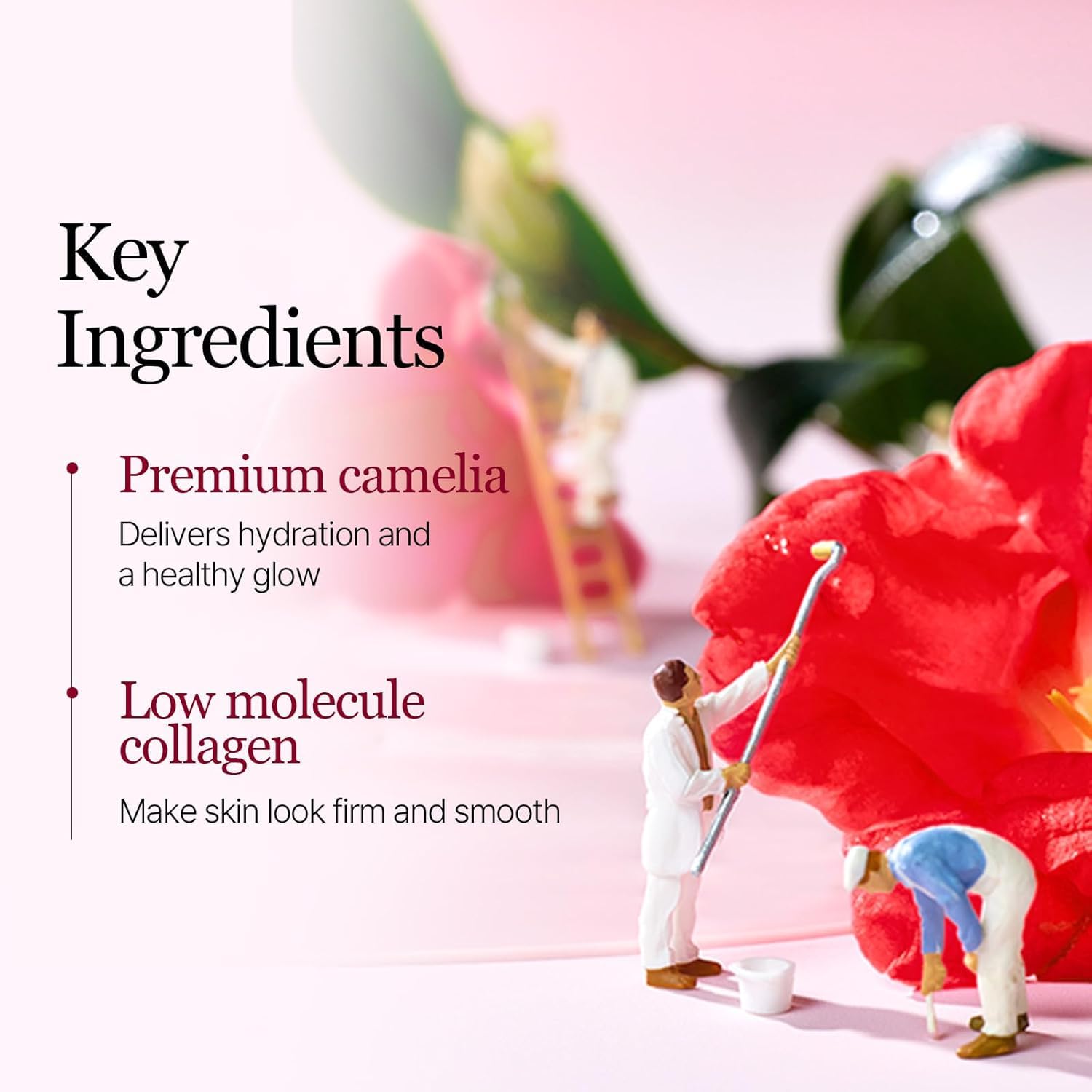 ROUND LAB Camellia Collagen Mask, 30min Hydrogel Mask, Quick Hydration, Firming&Pore Minimizing, For sensitive skin, Micro molecule collagen, Facial Mask, 34 g/1.19 Fl Oz 4ea