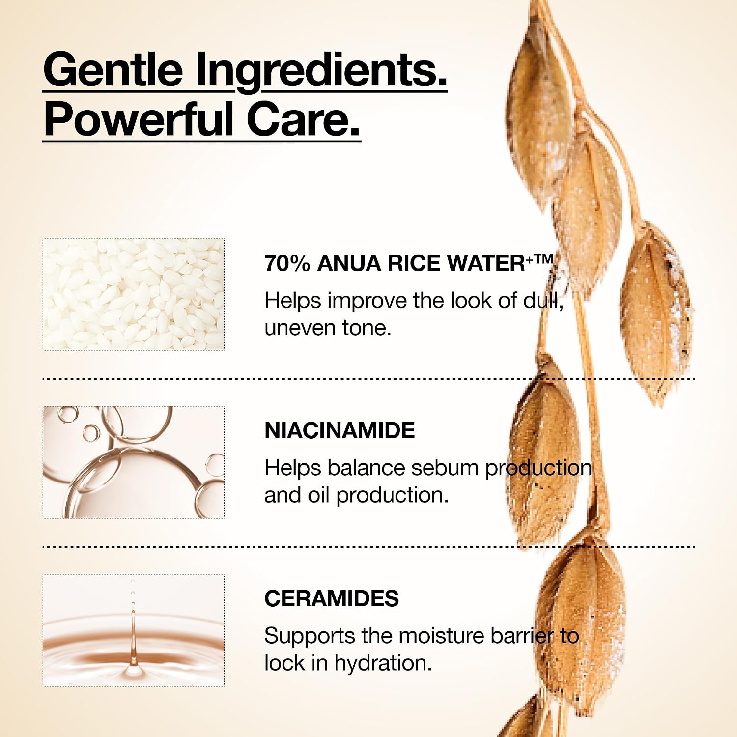Anua Rice 70 Glow Milky Toner, Non Comedogenic, Korean Skincare, 8.45 fl.oz | Glass & Dewy Skin, Hydrating & Barrier Care, Rice Water, Niacinamide, Ceramides, All Skin Types, Fragrance-Free